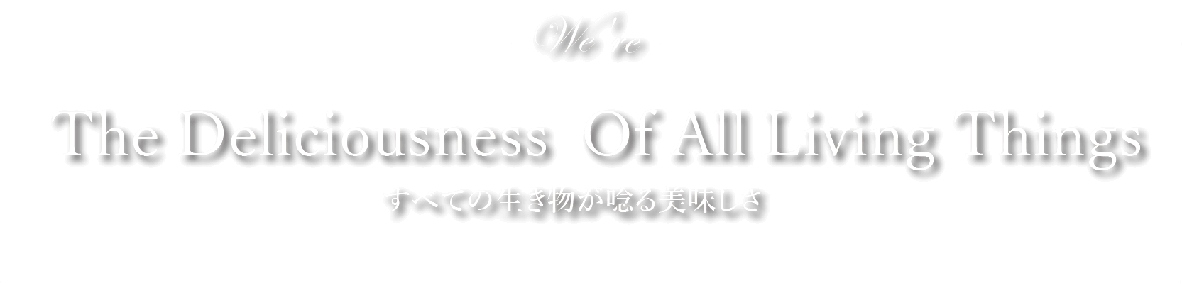 メインビジュアルキャッチコピー