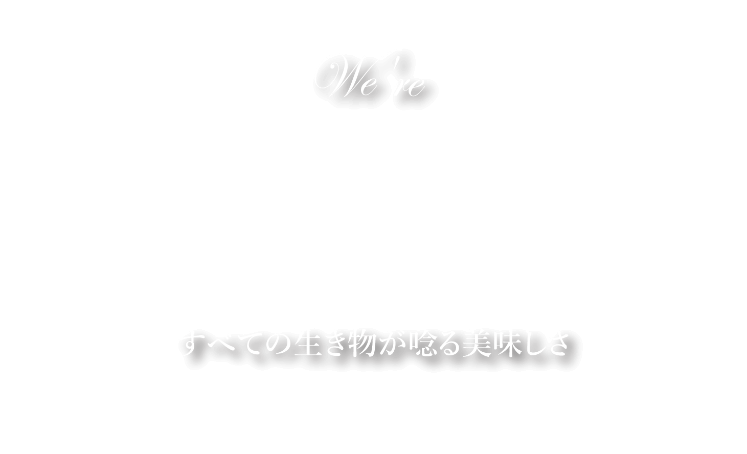 メインビジュアルキャッチコピー