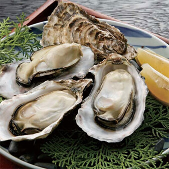 厚岸産殻付き牡蠣